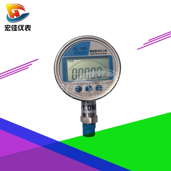 精密數(shù)字壓力表