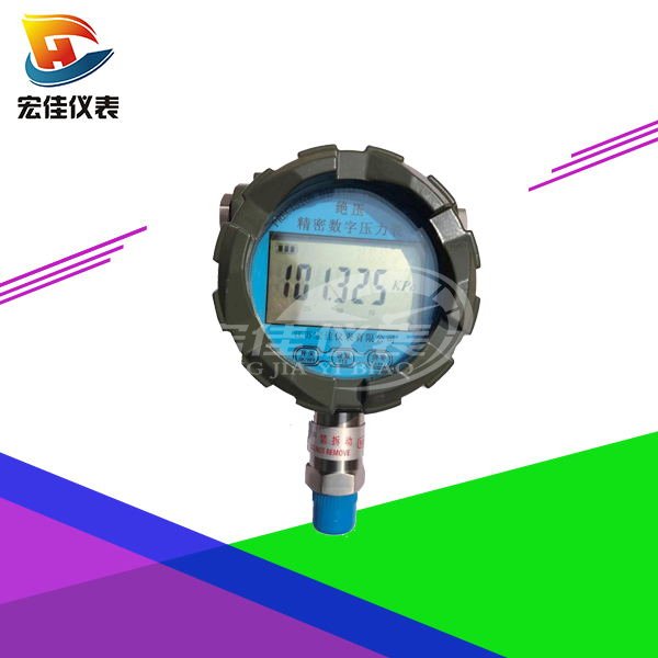 防爆數(shù)字壓力表